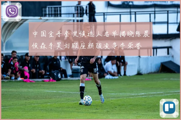 中国金手套奖候选人名单揭晓陈晨侯森李昊刘殿座颜骏凌争夺荣誉