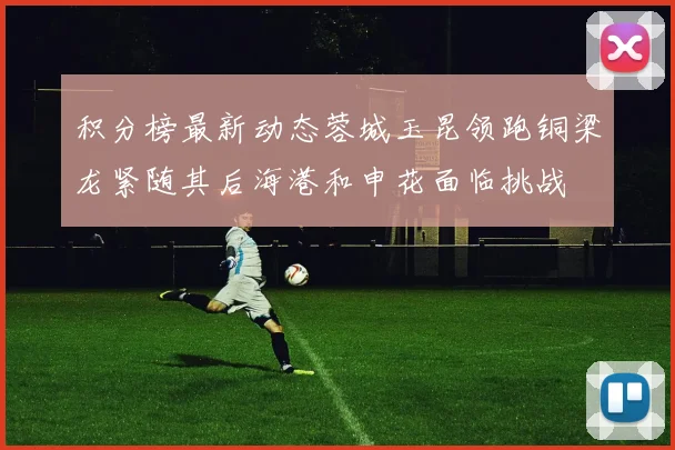 积分榜最新动态蓉城玉昆领跑铜梁龙紧随其后海港和申花面临挑战