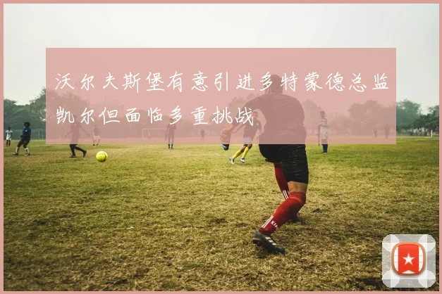 沃尔夫斯堡有意引进多特蒙德总监凯尔但面临多重挑战